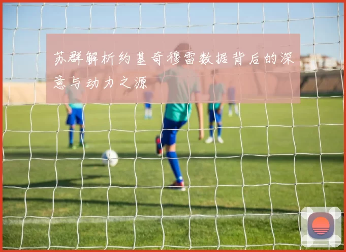 苏群解析约基奇穆雷数据背后的深意与动力之源